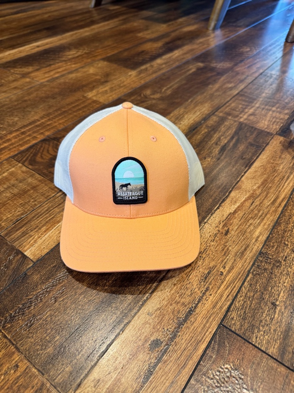 Assateague Horse Patch Hat – Low-Profile Trucker